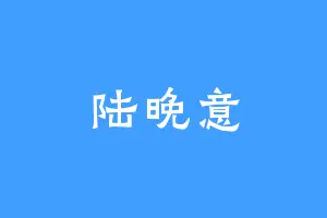陆晚意