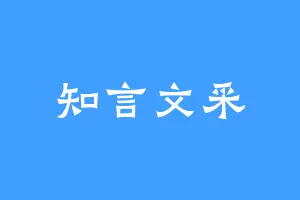 知言文采