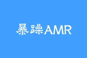 暴躁AMR