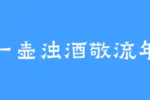 一壶浊酒敬流年