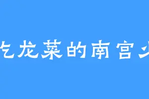 爱吃龙菜的南宫少阳