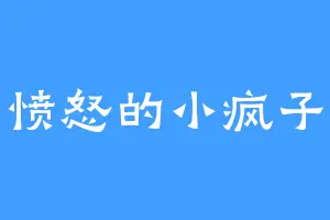 愤怒的小疯子