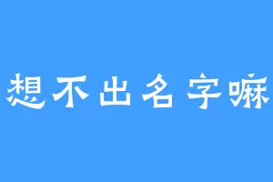 想不出名字嘛