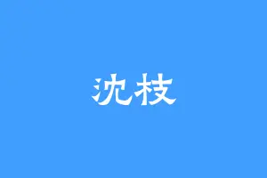 沈枝