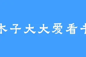 木子大大爱看书