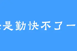 勤快是勤快不了一点了