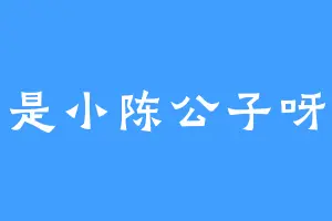 是小陈公子呀