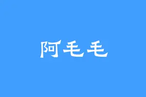 阿毛毛