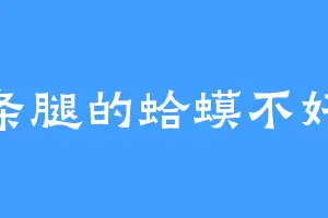 一条腿的蛤蟆不好找