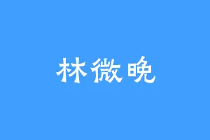 林微晚