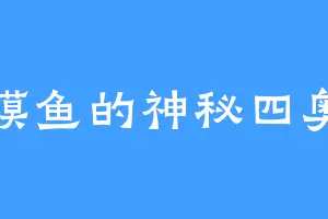 摸鱼的神秘四奥