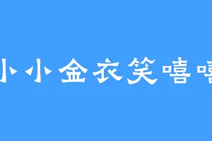 小小金衣笑嘻嘻