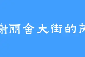 香榭丽舍大街的芮姬