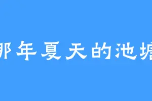 那年夏天的池塘