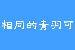 大不相同的青羽可可奈