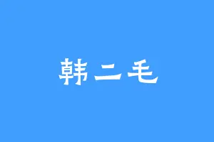 韩二毛
