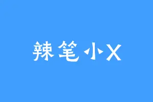 辣笔小X