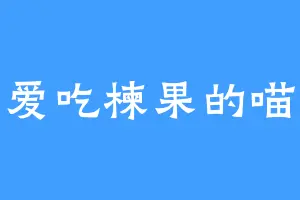 爱吃楝果的喵