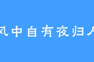 风中自有夜归人