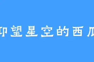 仰望星空的西瓜