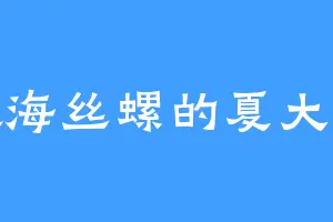 喜欢海丝螺的夏大小姐