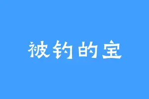 被钓的宝