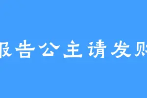报告公主请发财