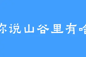 你说山谷里有啥
