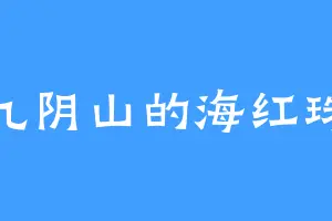九阴山的海红珠