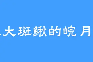 喜欢大斑鳅的皖月公主