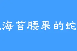 爱吃海苔腰果的蛇头帮