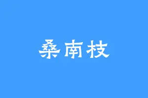 桑南枝