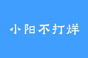小阳不打烊