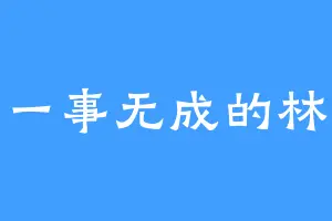 一事无成的林
