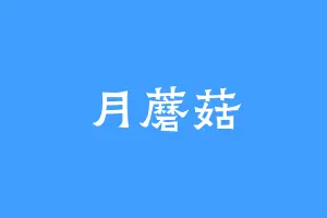 月蘑菇