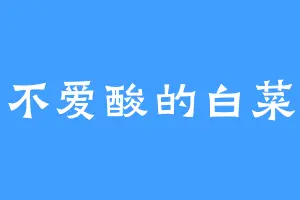 不爱酸的白菜