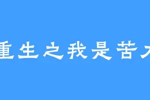 重生之我是苦力