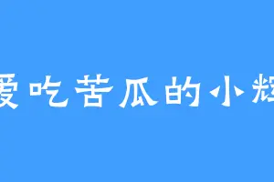 爱吃苦瓜的小辉