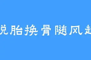 脱胎换骨随风起