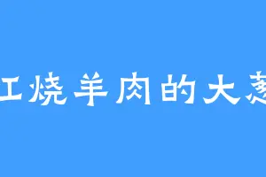 红烧羊肉的大葱