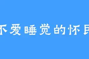 不爱睡觉的怀民