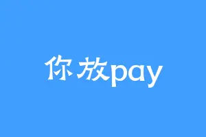 你放pay