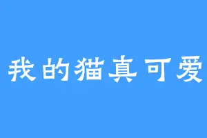 我的猫真可爱