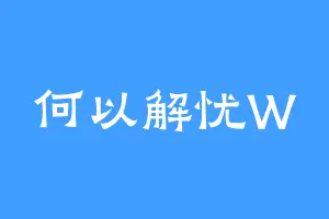 何以解忧W