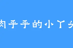肉乎乎的小丫头
