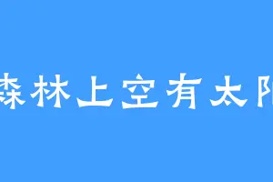 森林上空有太阳