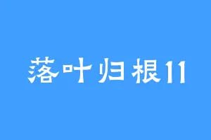 落叶归根11