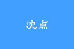 沈点