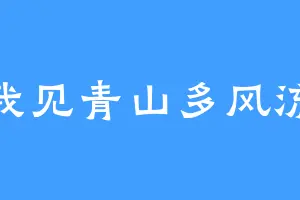 我见青山多风流