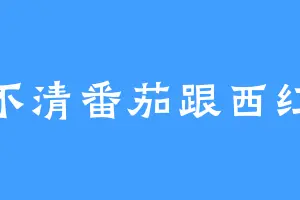 分不清番茄跟西红柿